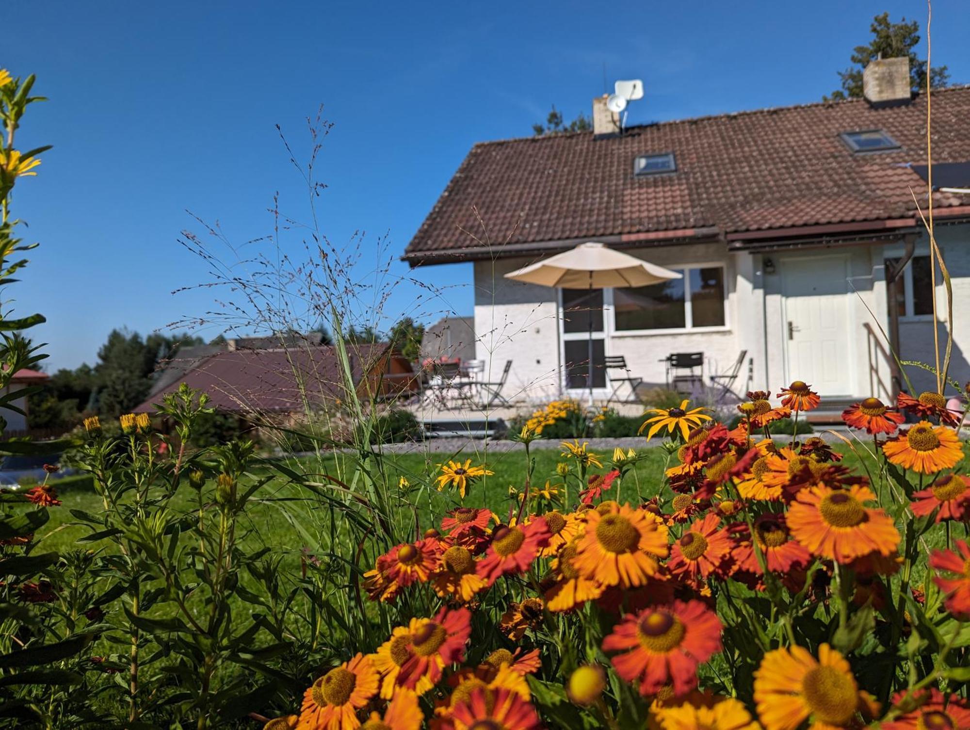 Penzion U Vichu Červená Voda Bagian luar foto
