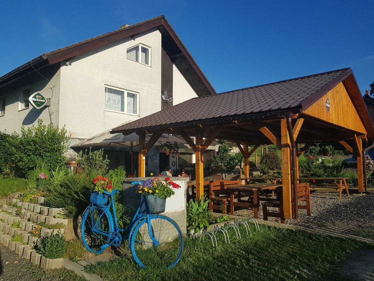 Penzion U Vichu Červená Voda Bagian luar foto