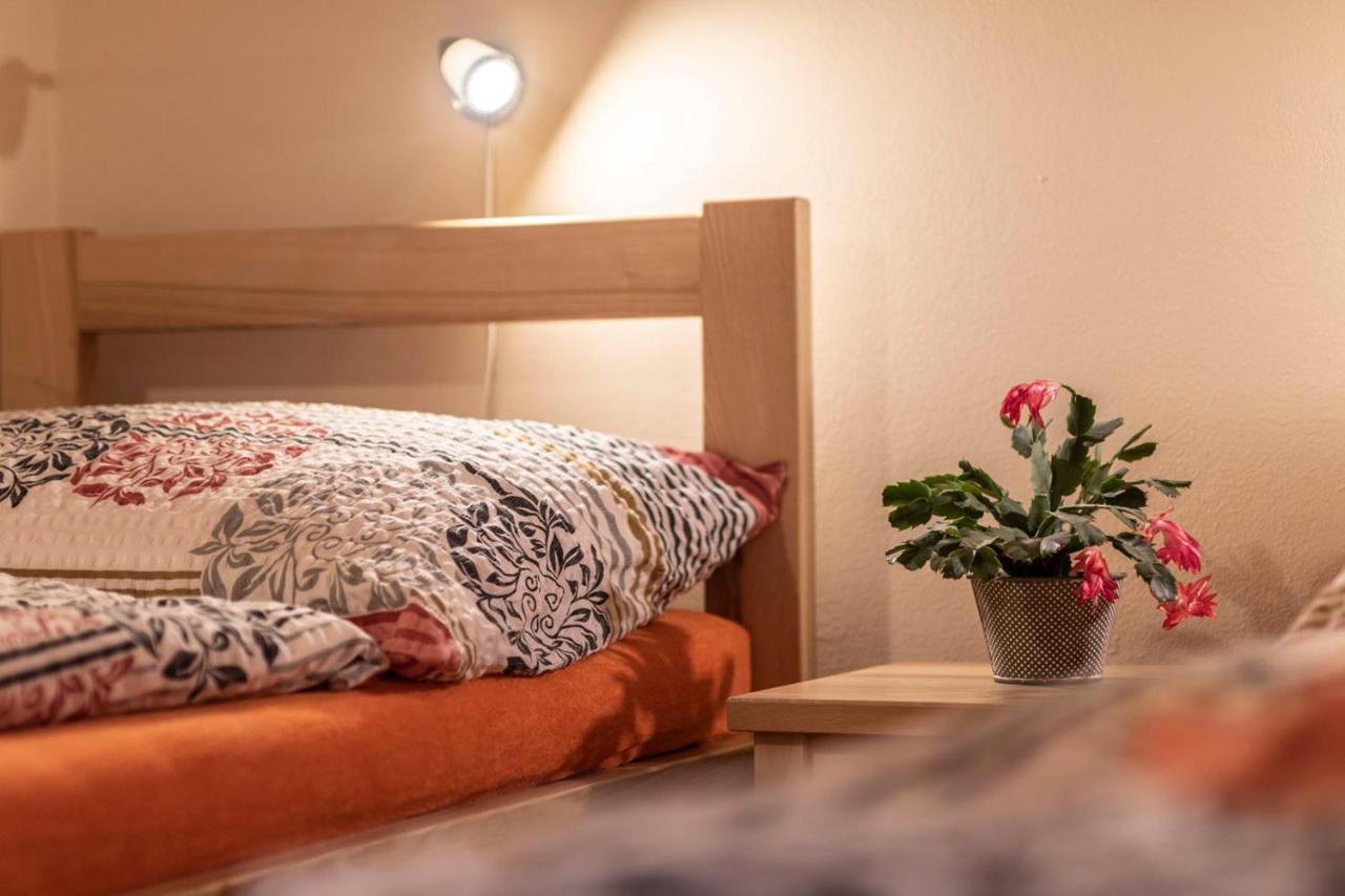 Penzion U Vichu Červená Voda Bagian luar foto