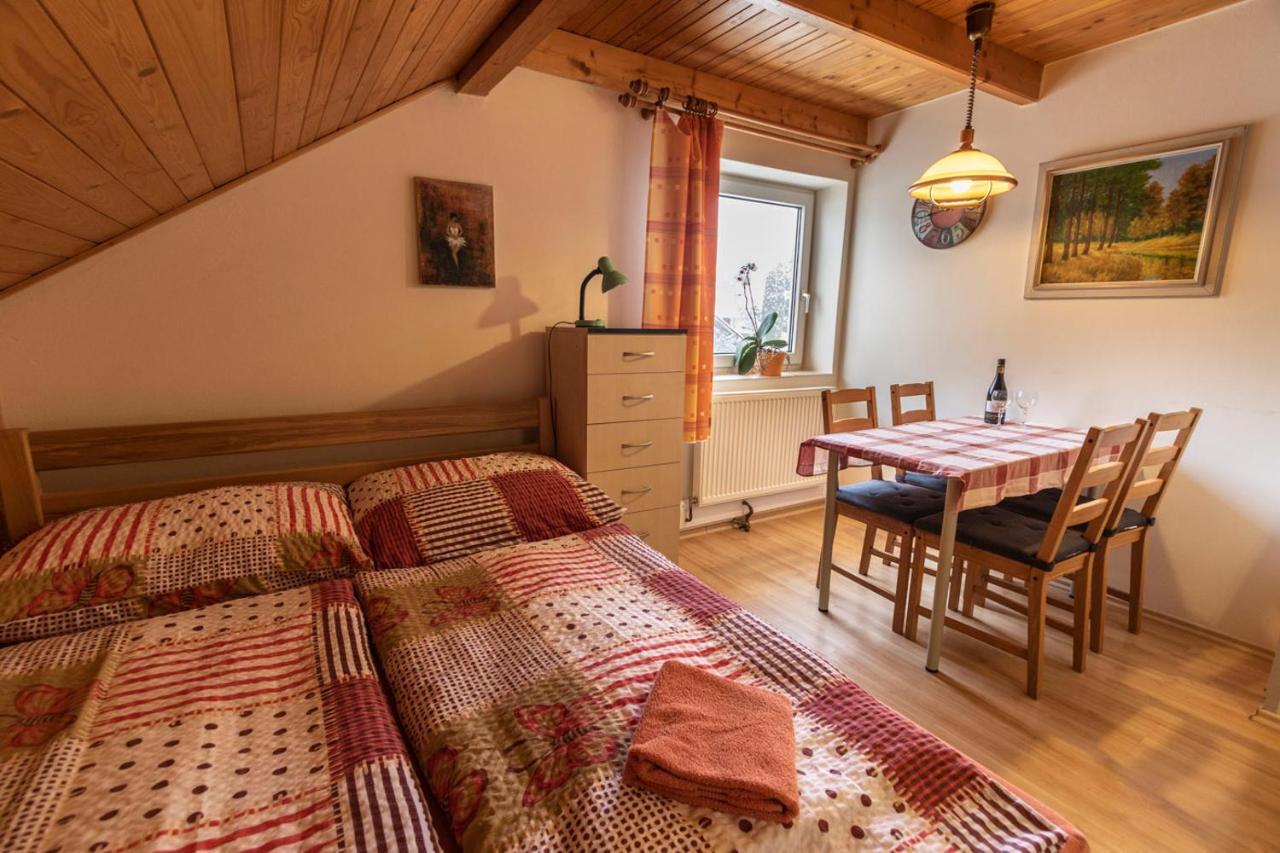 Penzion U Vichu Červená Voda Bagian luar foto