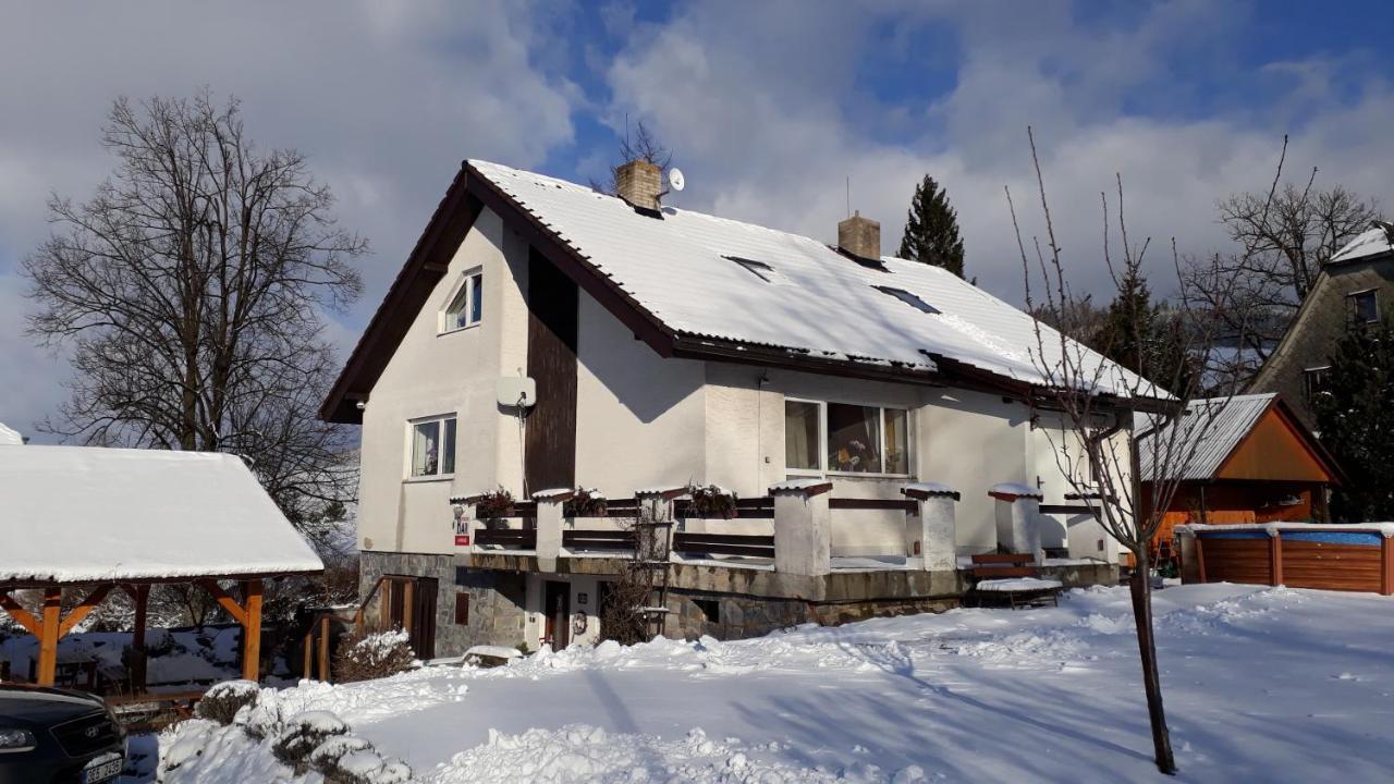 Penzion U Vichu Červená Voda Bagian luar foto