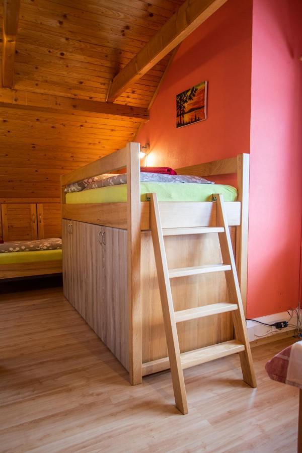 Penzion U Vichu Červená Voda Bagian luar foto